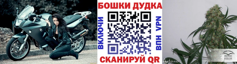Сколько стоит Оха АМФЕТАМИН  ГАШ  МАРИХУАНА  Кокаин  Alpha-PVP 