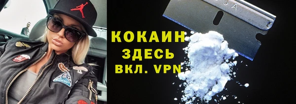 молекула духа Арсеньев