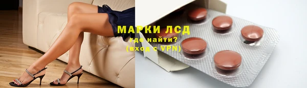 молекула духа Арсеньев