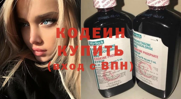 молекула духа Арсеньев