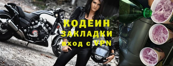 молекула духа Арсеньев