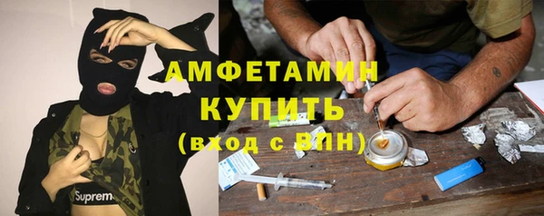 молекула духа Арсеньев