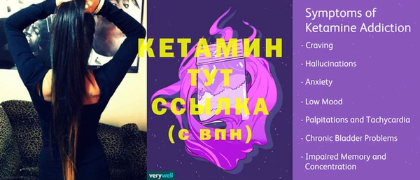 молекула духа Арсеньев