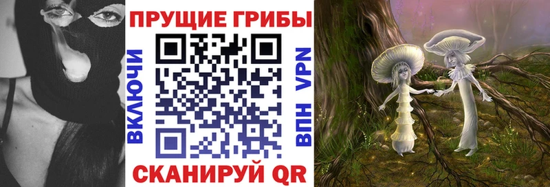 Псилоцибиновые грибы Cubensis МЕГА как зайти Оха